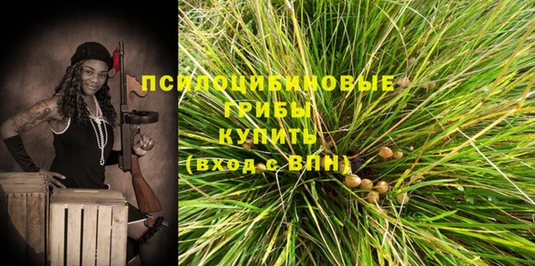 mix Надым
