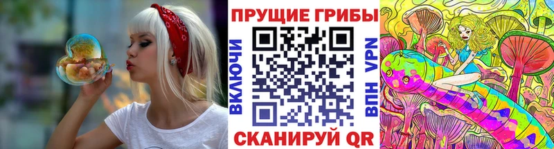кракен как войти  где купить наркоту  Магнитогорск  Псилоцибиновые грибы Cubensis 